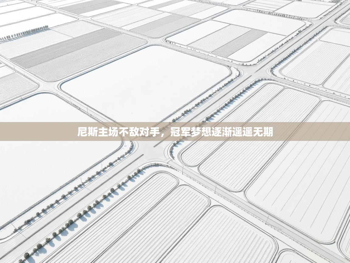 尼斯主场不敌对手，冠军梦想逐渐遥遥无期  第1张