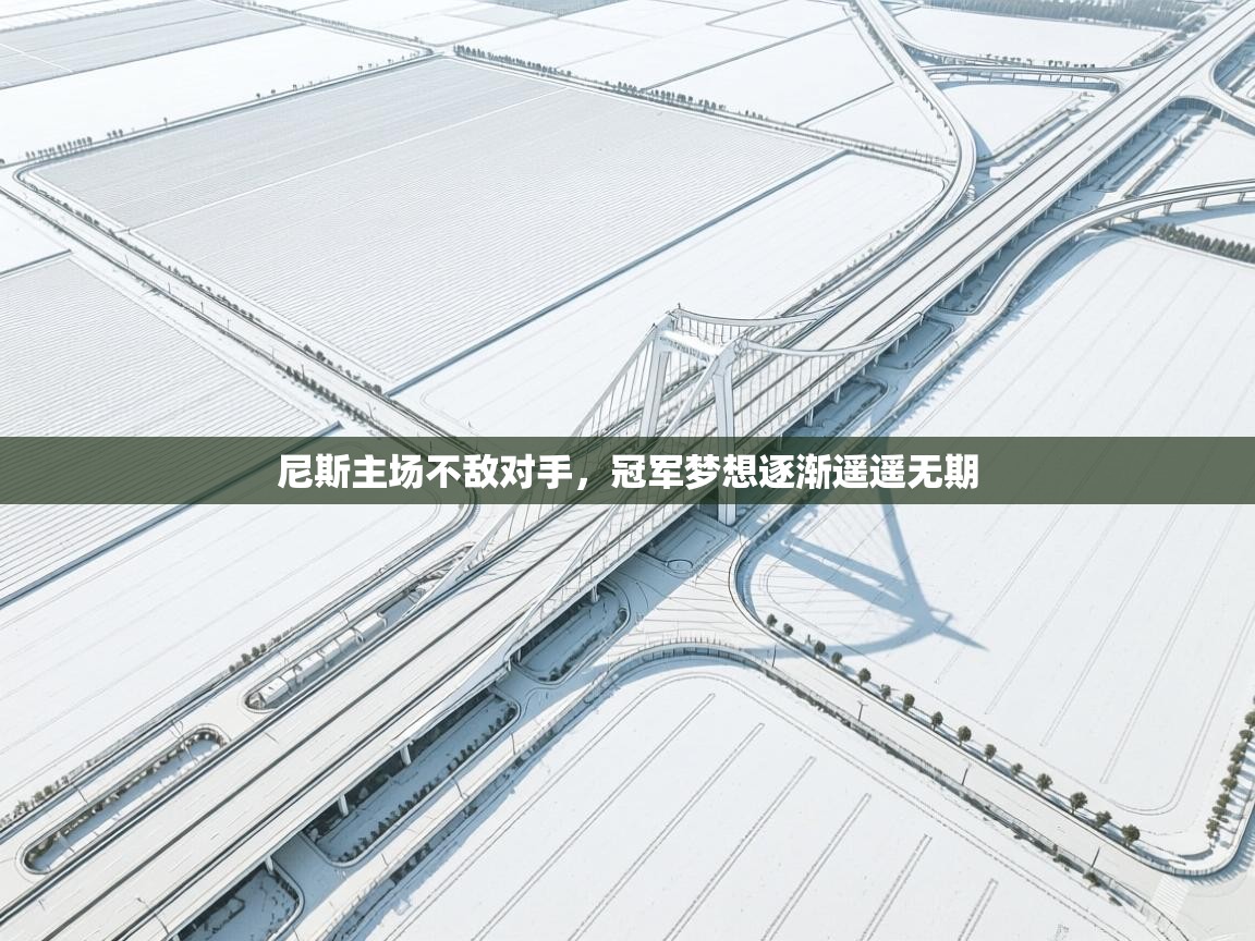 尼斯主场不敌对手，冠军梦想逐渐遥遥无期  第2张